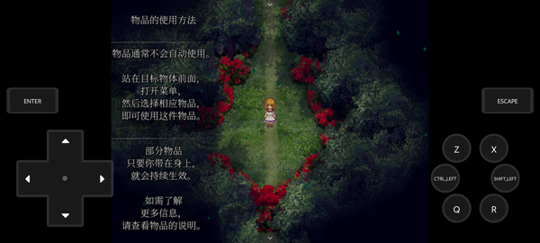 魔女之家重制版模拟器7