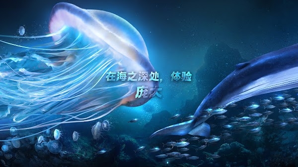 小小水世界2