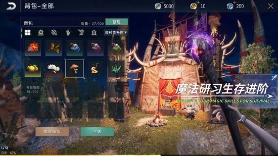 黑暗与光明游戏