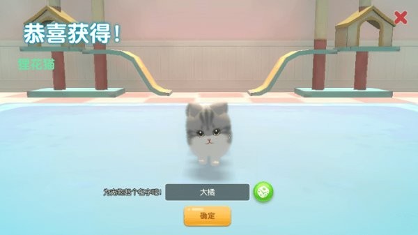 养了个猫小游戏
