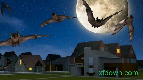 大眼蝙蝠大冒险