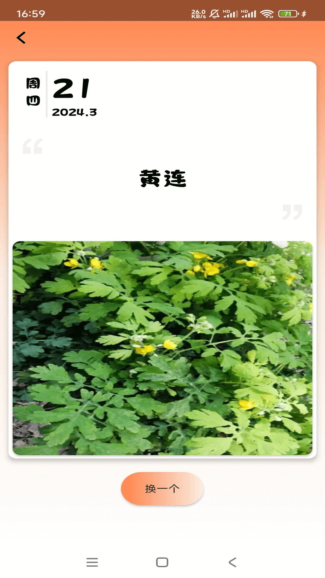 草药速识app 1
