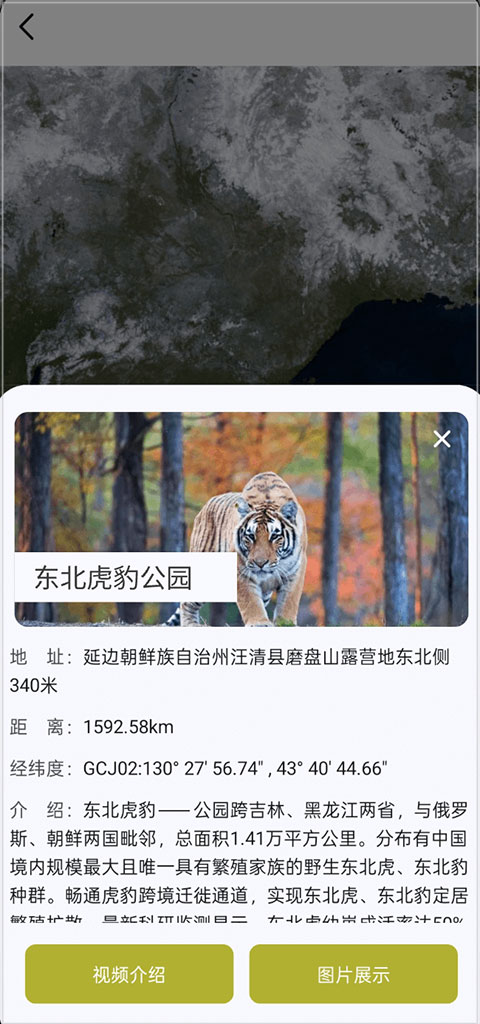 山水卫星地图app