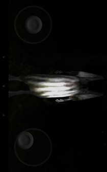 恐怖森林安卓汉化版 2