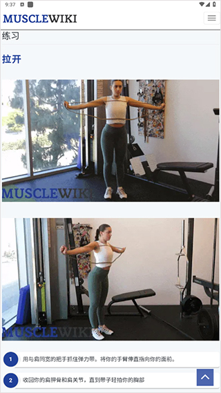 musclewiki手机版