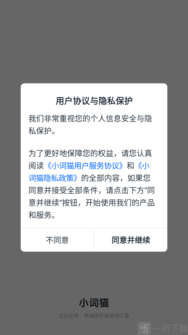 小词猫