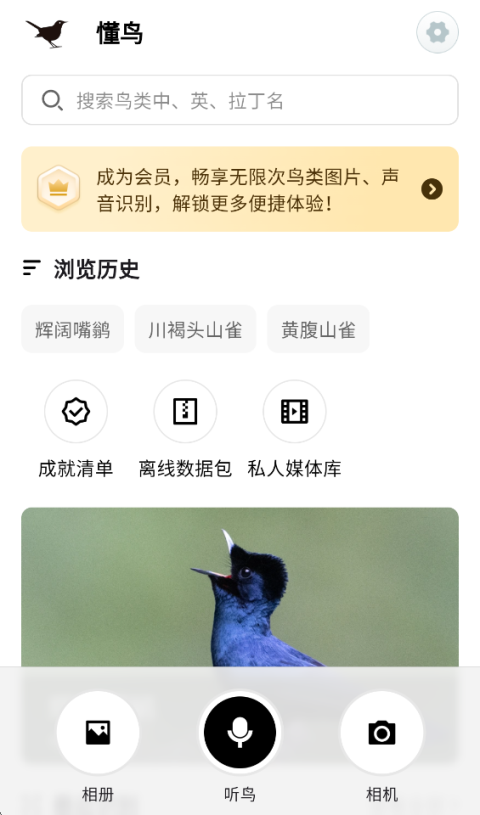 懂鸟App