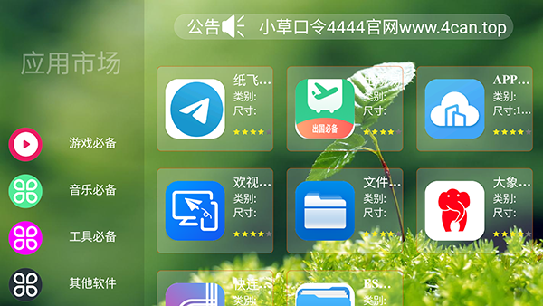 水果市场