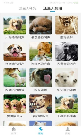 宠物翻译器免费版 1