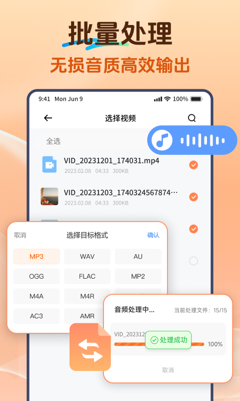 Viwoo音频格式转换器