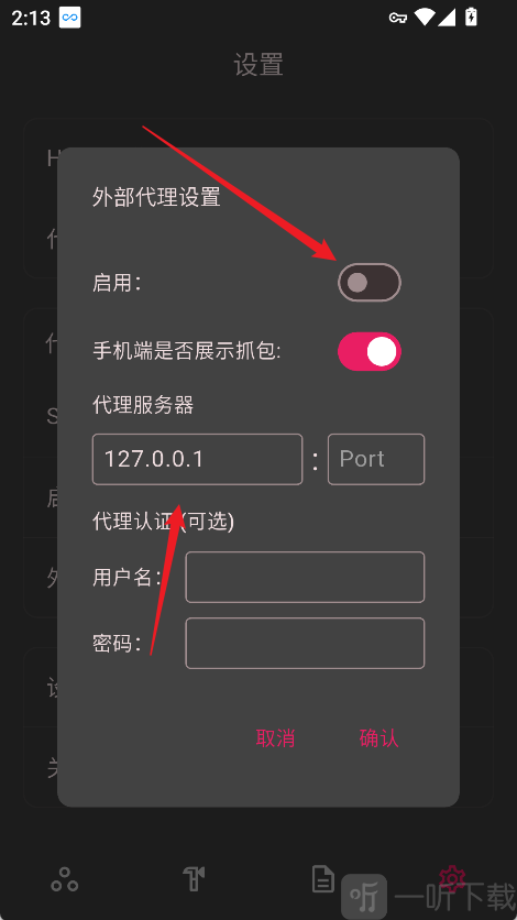 proxypin手机版配置外部代理服务器界面